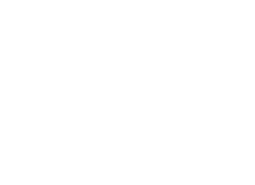 Total Cargo Transportes